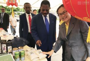 援赤道幾內(nèi)亞示范農(nóng)場項(xiàng)目組參與“非洲日”義賣活動