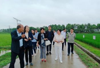 商務(wù)部國際經(jīng)濟合作事務(wù)局和農(nóng)業(yè)農(nóng)村部外經(jīng)中心 調(diào)研組一行到公司視察調(diào)研